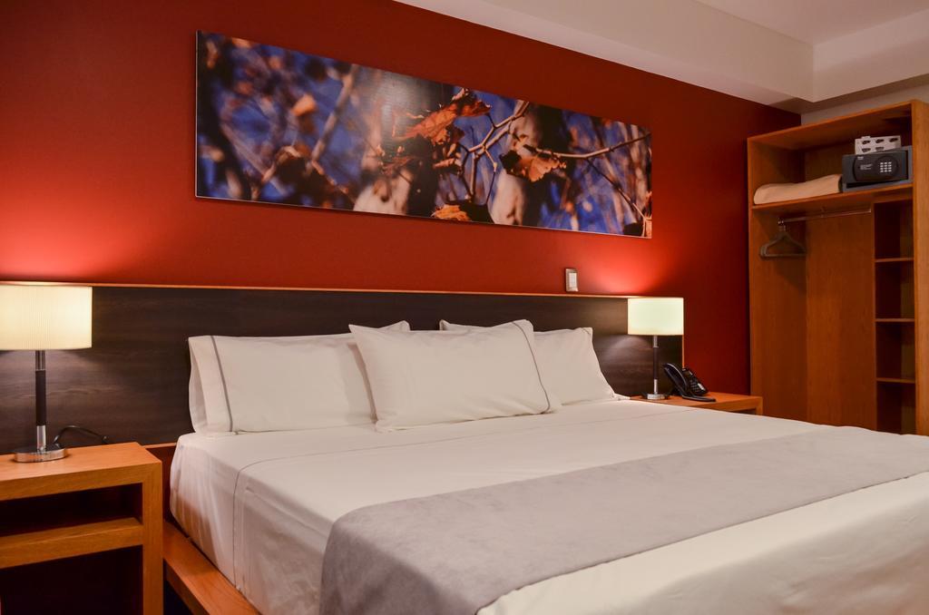 Concept Hotel 사모라 데 이달고 객실 사진