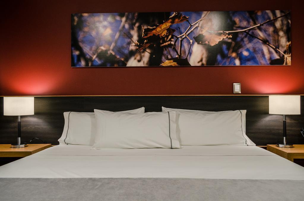 Concept Hotel 사모라 데 이달고 객실 사진